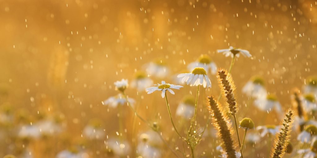 Nieuwsbrief mei 2024