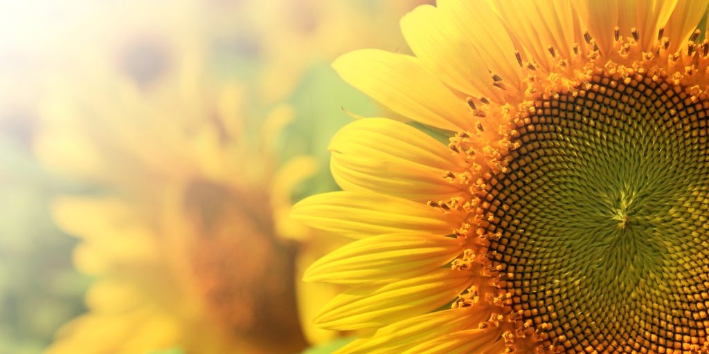 Wat leest u in onze MKB-Nieuwsbrief van juli 2024? Welke aandachtspunten zijn er voor uw bedrijf?